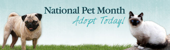National Pet Month National Pet Month