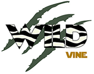 Wild Vine at the Hub Wild Vine at the Hub