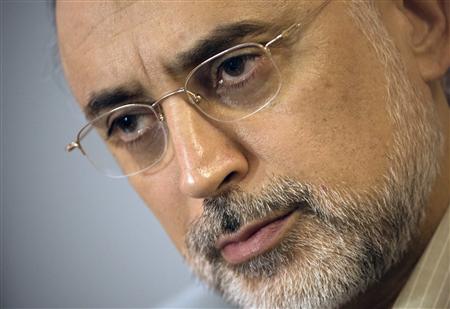 Ali Akbar Salehi, head of Iran's Atomic Energy Organisation, looks on while attending a news conference in Tehran September 29, 2009. REUTERS/Morteza Nikoubazl
Ali Akbar Salehi, head of Iran's Atomic Energy Organisation, looks on while attending a news conference in Tehran September 29, 2009. REUTERS/Morteza Nikoubazl