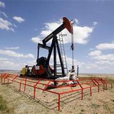 




A Canadian Natural Resources pump jack pumps oil out of the ground near Dorothy, Alberta, June 30, 2009. CNR is a large Canadian energy producer. REUTERS/Todd Korol

