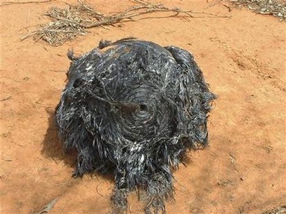 A ball of twisted metal, purported to be fallen space junk, is pictured on a farm in southwestern Queensland in this undated handout photograph received March 28, 2008. REUTERS/James Stirton/Handout
A ball of twisted metal, purported to be fallen space junk, is pictured on a farm in southwestern Queensland in this undated handout photograph received March 28, 2008. REUTERS/James Stirton/Handout
