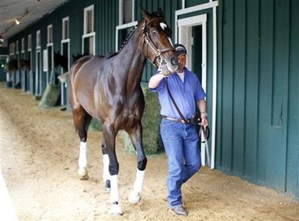 
Kentucky Oaks winner and Preakness hopeful, filly Rachel Alexandra is walked by Assistant trainer Scott Blasi at Pimlico Race Track in Baltimore, Maryland May 14, 2009. REUTERS/Molly Riley
