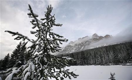 
A snow-covered tree and a misty mountain are seen in Canada's Banff National Park near Lake Louise, Alberta in this December 3, 2006 file photo. REUTERS/Andy Clark
