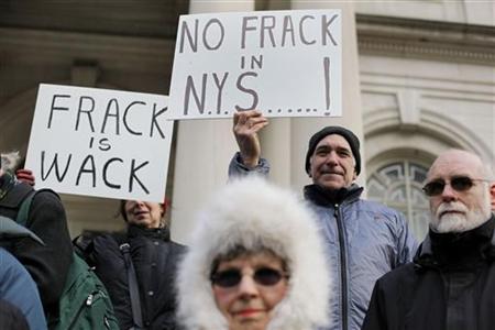 People gather on the steps of New York City Hall protesting the states plan for shale oil drilling in the city's watershed in New York January 4, 2010. REUTERS/Shannon Stapleton
People gather on the steps of New York City Hall protesting the states plan for shale oil drilling in the city's watershed in New York January 4, 2010. REUTERS/Shannon Stapleton