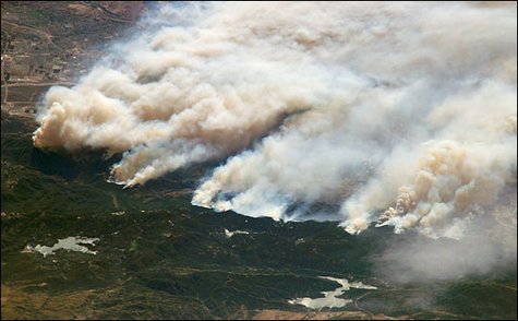 Wildfire