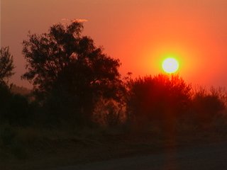 Sunshine silhouette on a hot day.