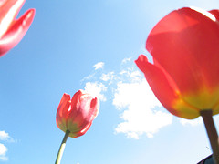 Wonderful Weather