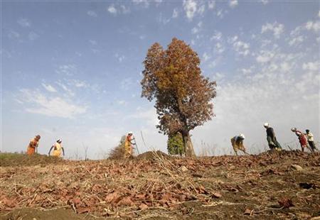 Labourers dig a drain in a dry field at Mankapally in Adilabad district of the southern Indian state of Andhra Pradesh April 21, 2010. World Earth Day is observed on Thursday. Picture taken April 21, 2010. REUTERS/Krishnendu Halder
Labourers dig a drain in a dry field at Mankapally in Adilabad district of the southern Indian state of Andhra Pradesh April 21, 2010. World Earth Day is observed on Thursday. Picture taken April 21, 2010. REUTERS/Krishnendu Halder