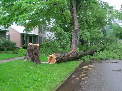 Storm Damage