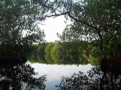 River River