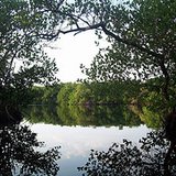 River River