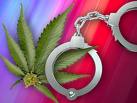 Drug bust by area police