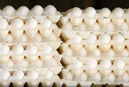 
Eggs just produced by hens in San Diego County are seen in this July 29, 2008 file photo. REUTERS/Mike Blake
