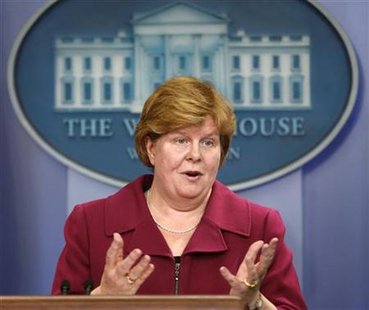 
Christina Romer, the Chair of U.S. President Barack Obama's Council of Economic Advisers, speaks about Economic Report of the President in the Briefing Room of the White House in Washington February 11, 2010. REUTERS/Kevin Lamarque
