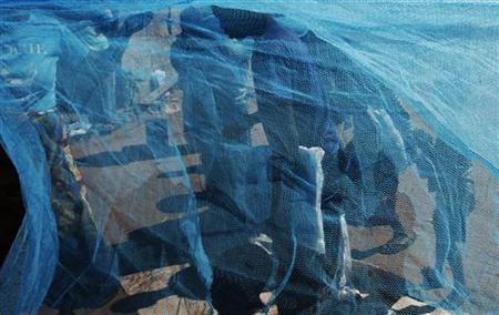 
Zambian villagers display a mosquito net in Matongo village, about 60 km (37 miles) from Livingstone, April 23, 2008. 	 REUTERS/Thierry Roge

