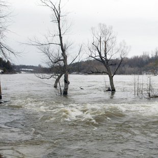 Flooding along the Mississippi River. Flooding along the Mississippi River.