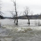 Mississippi River Flooding (Courtesy of WNMT.com)