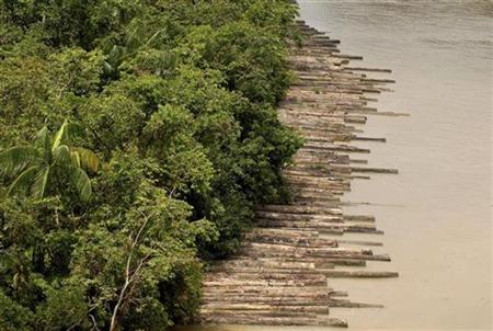 Illegally logged timber, which has been confiscated, is floated down the Guamá River Delta in the northeastern state of Param, Brazil April 14, 2010. REUTERS/Paulo Santos
Illegally logged timber, which has been confiscated, is floated down the Guamá River Delta in the northeastern state of Param, Brazil April 14, 2010. REUTERS/Paulo Santos