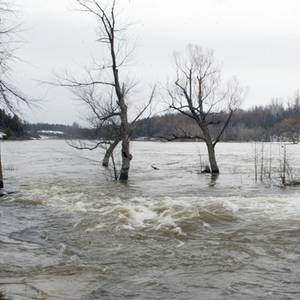 Mississippi River Flooding (Courtesy of WNMT.com)