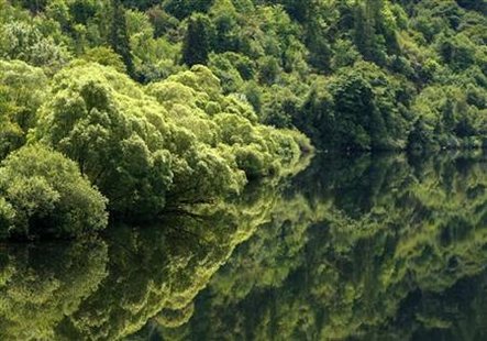 Trees are reflected in the still waters along a river near Eugene, Oregon July 1, 2008. REUTERS/Mike Blake
Trees are reflected in the still waters along a river near Eugene, Oregon July 1, 2008. REUTERS/Mike Blake