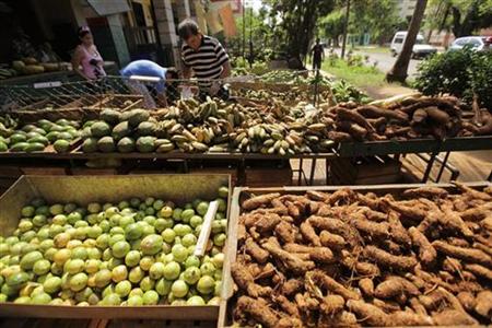 
People buy vegetables at a private farmers' market in Havana September 25, 2010. REUTERS/Desmond Boylan
