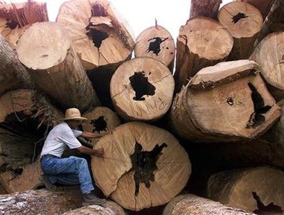 
A Brazilian woodcutter marks trees for inventory in a forest certified for sustainable management in Itacoatiara, northern Brazil, October 7. REUTERS/Paulo Whitaker
