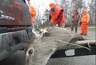 A hunter ties up a doe shot at Potawatomi State Park on Sunday November 21, 2010. (courtesy of FOX 11) A hunter ties up a doe shot at Potawatomi State Park on Sunday November 21, 2010. (courtesy of FOX 11)