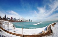 Shedd Aquarium - 02/13/11 8
