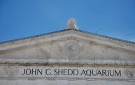 Shedd Aquarium - 02/13/11 7