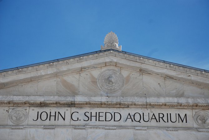 WKZO.com producer Sean Patrick makes a visit to Chicago's Shedd Aquarium - 02/13/11.