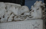 Shedd Aquarium - 02/13/11 6