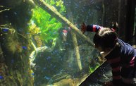 Shedd Aquarium - 02/13/11 21