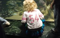 Shedd Aquarium - 02/13/11 19