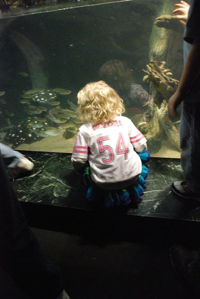 WKZO.com producer Sean Patrick makes a visit to Chicago's Shedd Aquarium - 02/13/11.
