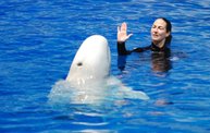 Shedd Aquarium - 02/13/11 17