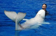 Shedd Aquarium - 02/13/11 16