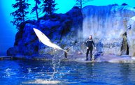 Shedd Aquarium - 02/13/11 15