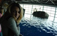 Shedd Aquarium - 02/13/11 14