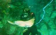 Shedd Aquarium - 02/13/11 4