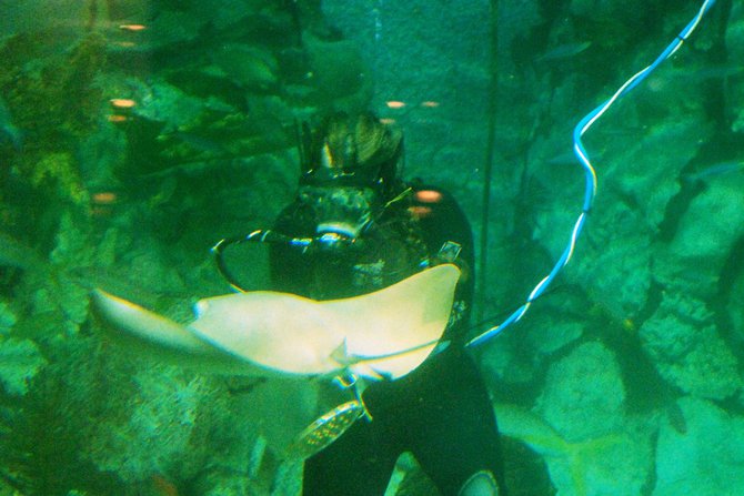 WKZO.com producer Sean Patrick makes a visit to Chicago's Shedd Aquarium - 02/13/11.