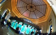 Shedd Aquarium - 02/13/11 3