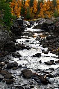 Jay Cooke State Park