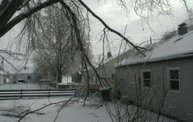 Ice Storm 2011: Cover Image