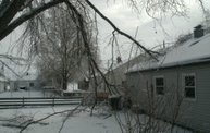 Ice Storm 2011 1