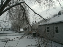 Ice Storm 2011