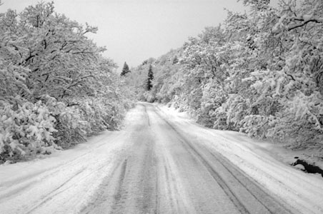 Minnesota Blizzard