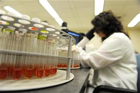 




Lead scientist Heather Peters uses a microscope to check cultures for signs of the H1N1 swine flu virus and other respiratory diseases at the Maryland Department of Health and Mental Hygiene in Baltimore, September 3, 2009. REUTERS/Jonathan Ernst

