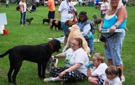 2011 Kzoo Humane Society Dog Walk 19