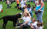 2011 Kzoo Humane Society Dog Walk 19