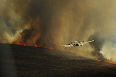 Texas Wildfire From the Air Texas Wildfire From the Air